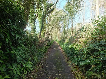 Photo Gallery Image - Lane leading to the village from Moditonham Quay