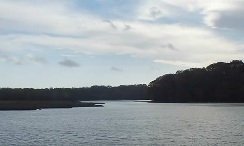 Views from Moditonham Quay towards Kingsmill Lake Nature Reserve